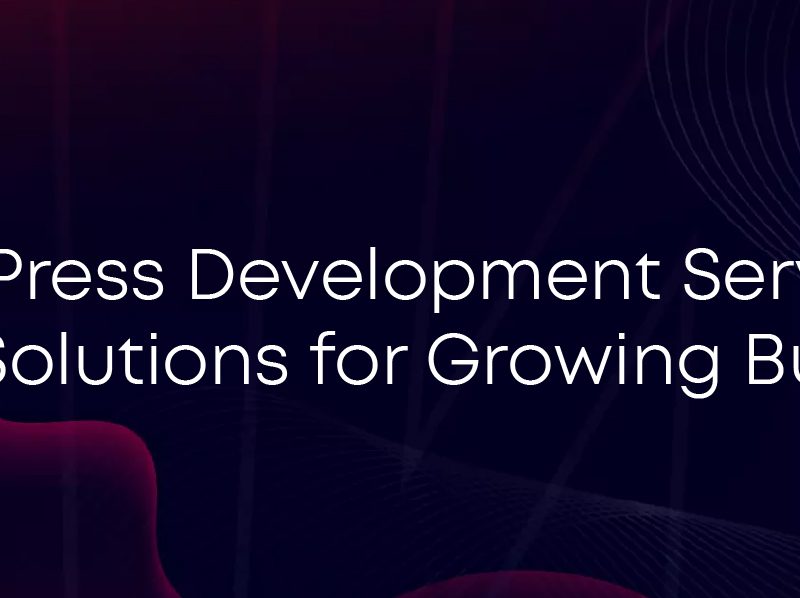 wp development services